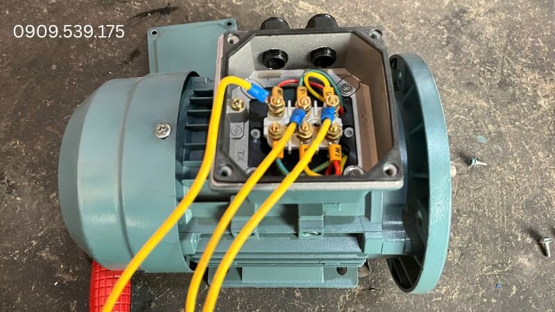 Cách cố định dây trong hộp cực.