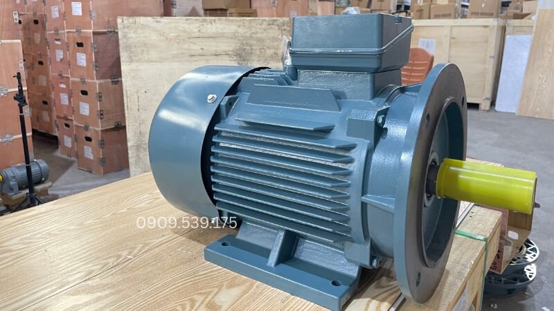 Dùng thước kẹp đo đường kính trục và đồng hồ Megomet đo điện trở cách điện trước khi nghiệm thu