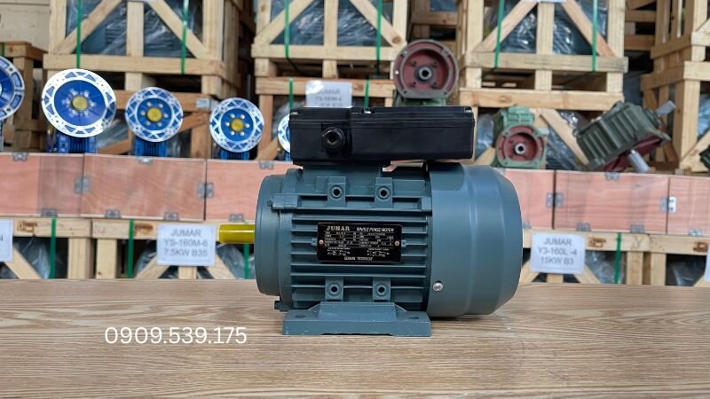 Hướng dẫn lựa chọn motor điện chịu hóa chất đúng cách