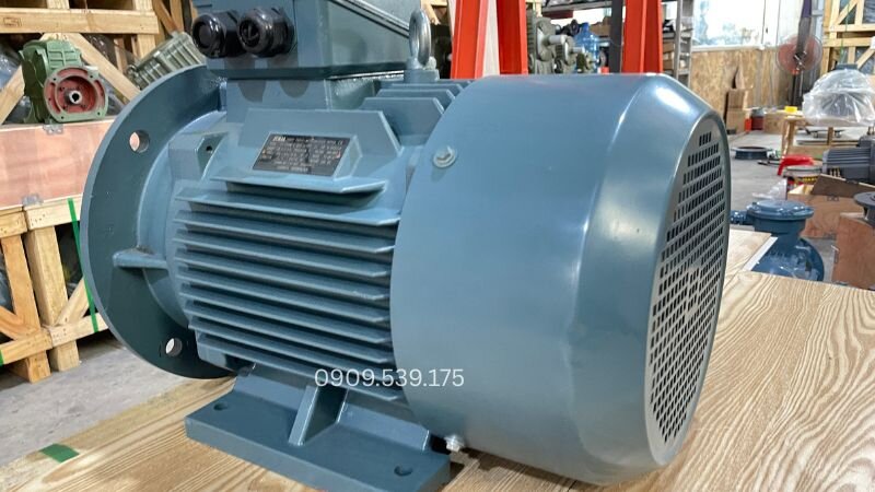 Lựa chọn động cơ điện phù hợp với dây chuyền sản xuất giúp nâng cao năng suất và tiết kiệm chi phí vận hành lâu dài