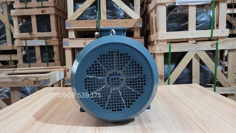 Lực văng cơ khí (hướng kính và dọc trục) sinh ra do sai lệch tâm giữa trục motor và trục tải