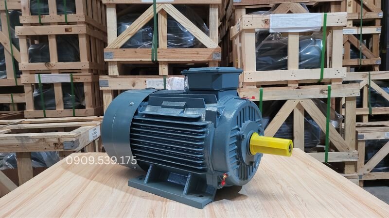 Sự cố méo dạng từ trường quay do đứt ngầm dây hoặc tiếp điểm kém gây lực tác động không đều lên trục