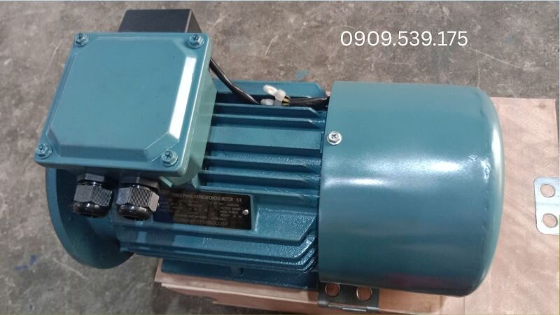 Motor điện vận hành ổn định giảm chi phí bảo trì