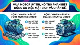 Mua motor uy tín, hỗ trợ Phân biệt động cơ điện mặt bích và chân đế.