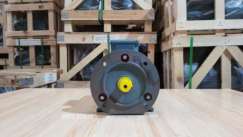 Nguyên nhân từ cuộn dây stator