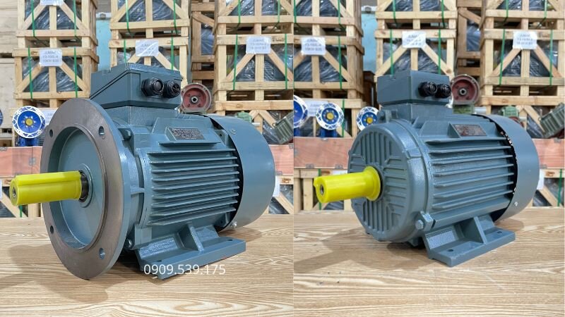 Phân biệt động cơ điện mặt bích và chân đế
