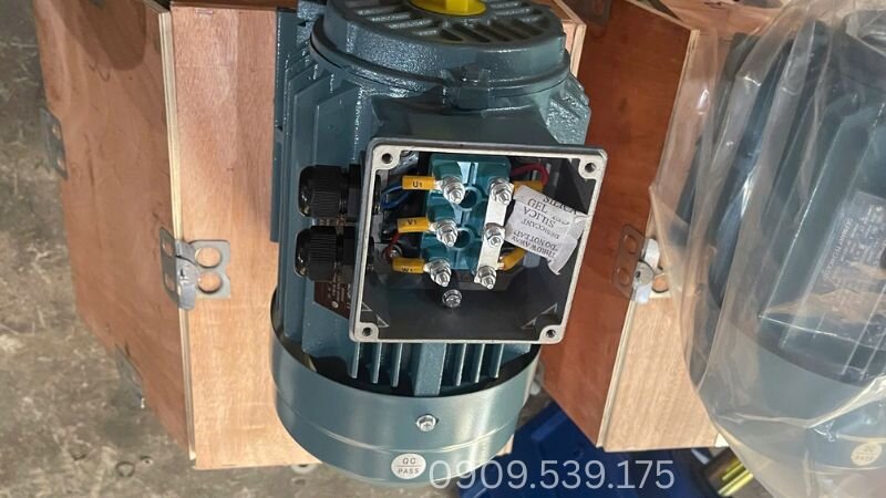 Hướng dẫn nhận diện ký hiệu U-V-W quốc tế và nguyên tắc bố trí lệch để đấu nối Sao - Tam giác nhanh chóng