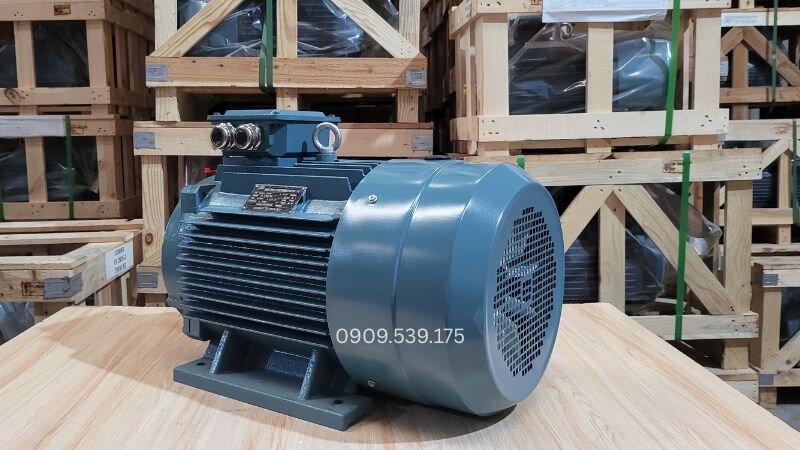 Hiện tượng mất cân bằng từ thông sinh ra nhịp rung do suy giảm cách điện làm chập các vòng dây