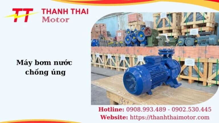 Thumb máy bơm nước chống úng
