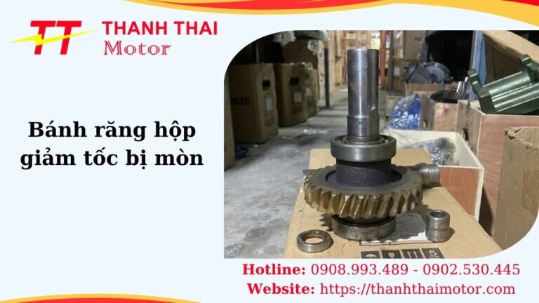 Thumb bánh răng hộp giảm tốc bị mòn