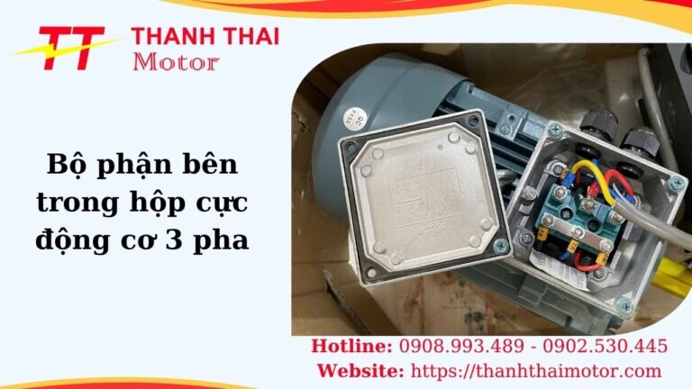 Hình thumb bộ phận bên trong hộp cực động cơ 3 pha