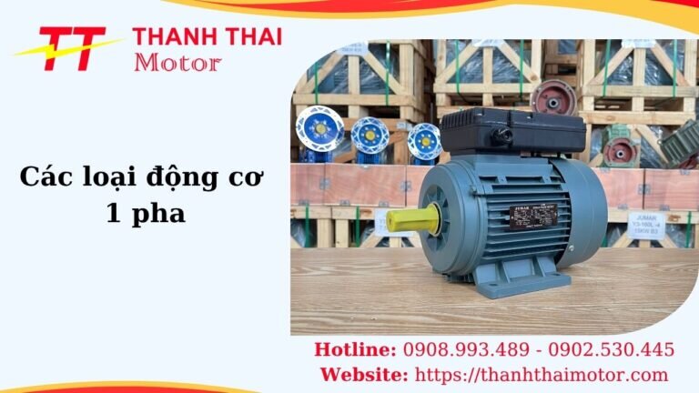 Hình thumb các loại động cơ 1 pha