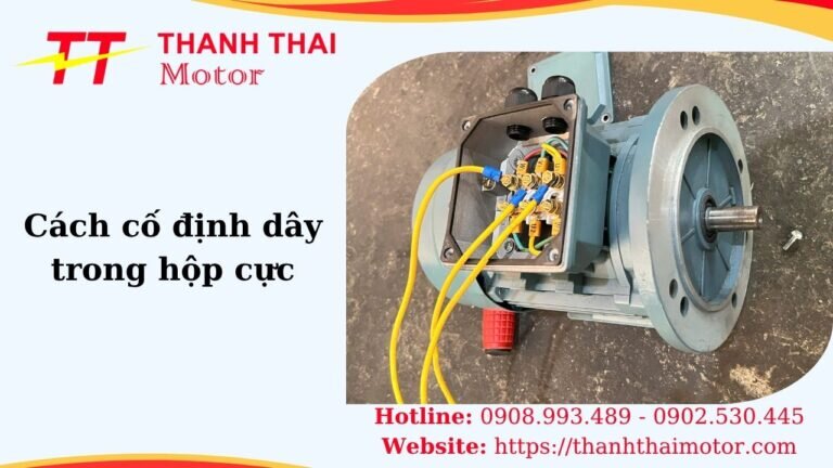 Thumb cách cố định dây trong hộp cực