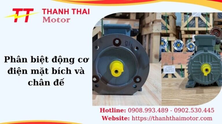 Thumb phân biệt động cơ điện mặt bích và chân đế