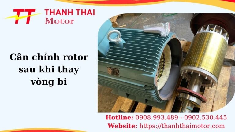 Thumb cân chỉnh rotor sau khi thay vòng bi