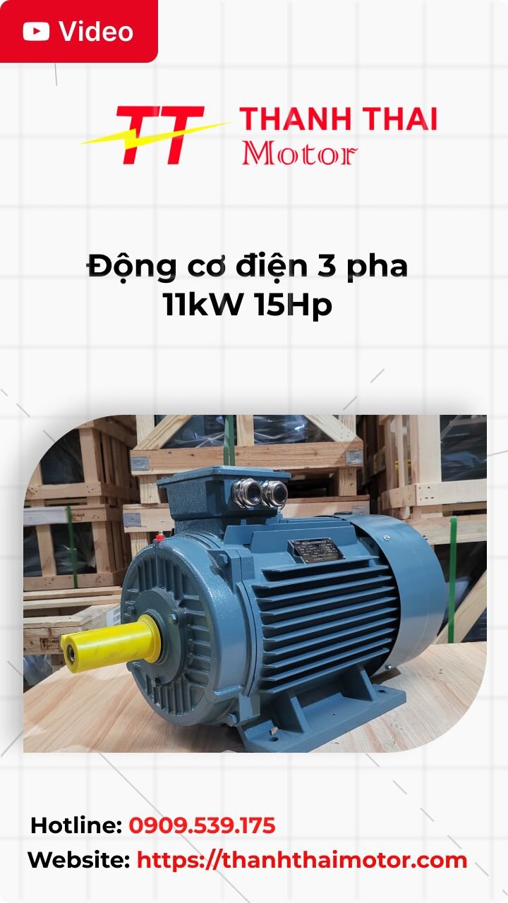 thumb động cơ điện 3 pha 11kW 15Hp
