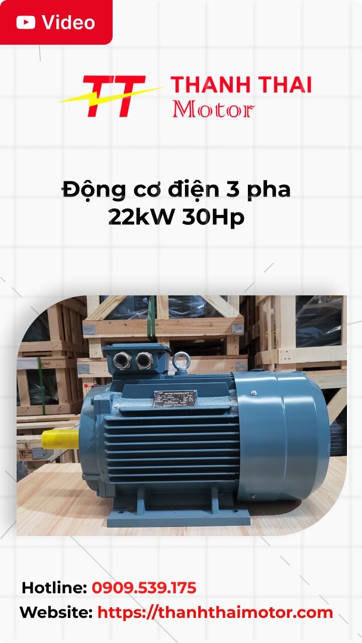 Thumb động cơ điện 3 pha 22kW 30Hp