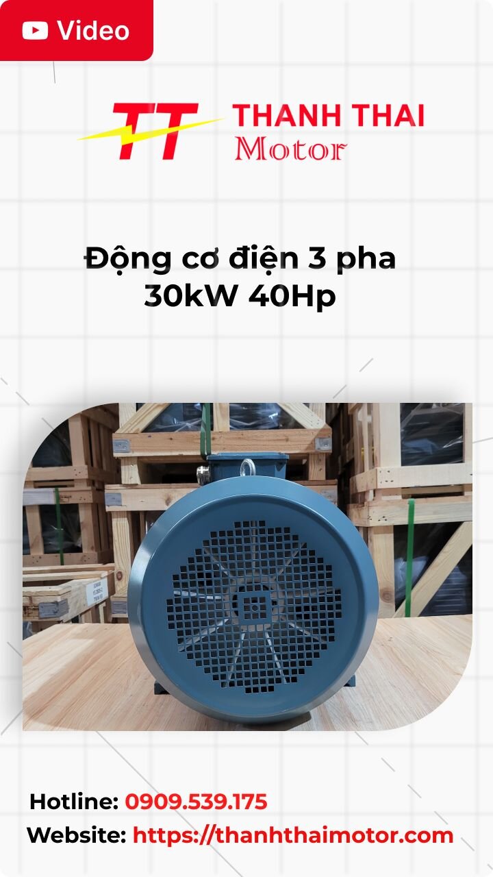 Thumb động cơ điện 3 pha 30kW 40Hp