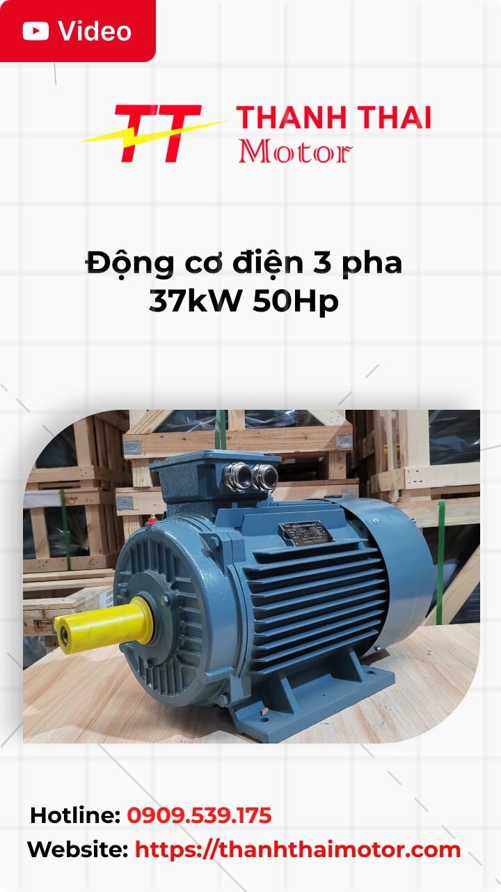 Thumb động cơ điện 3 pha 37kW 50Hp