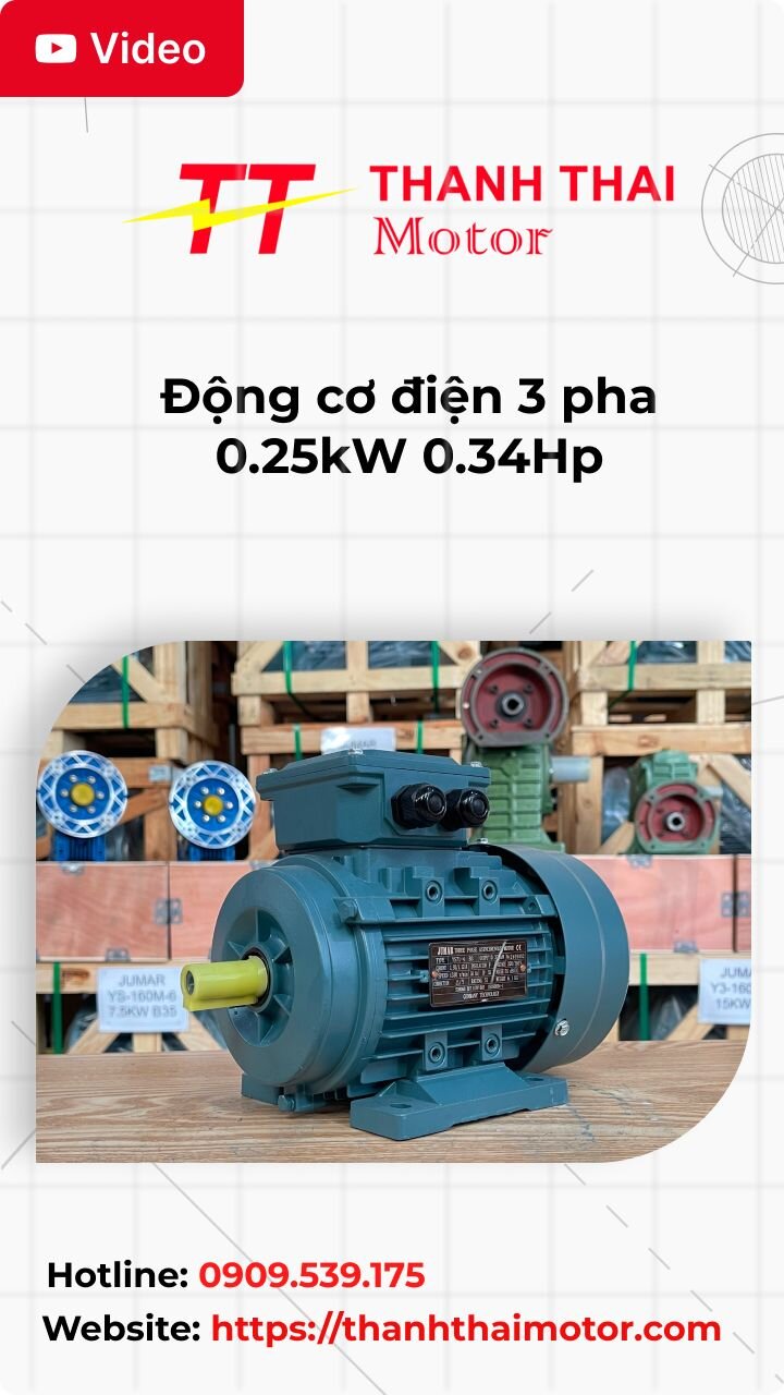 Động cơ điện 3 pha 0.25kW 0.34Hp