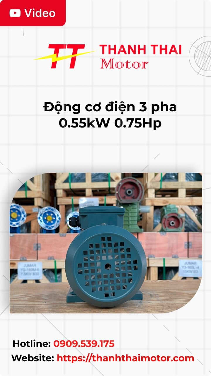 Động cơ điện 3 pha 0.55kW 0.75Hp