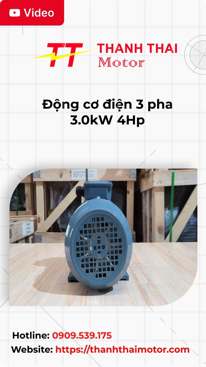 Thumb động cơ điện 3 pha 3.0kW 4Hp