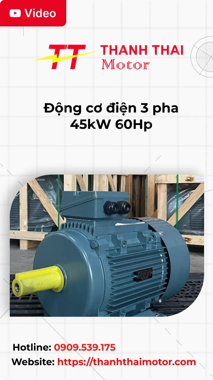 Động cơ điện 3 pha 45kW 60Hp