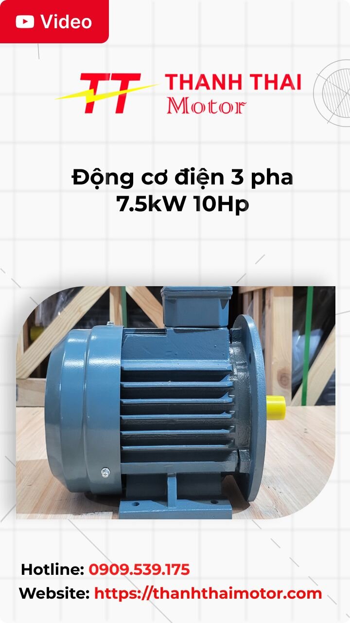 Động cơ điện 3 pha 7.5kW 10Hp