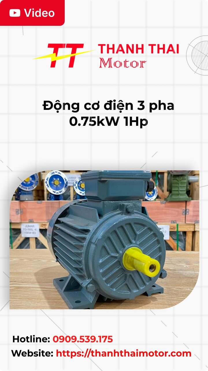 Động cơ điện 3 pha 0.75kW 1Hp