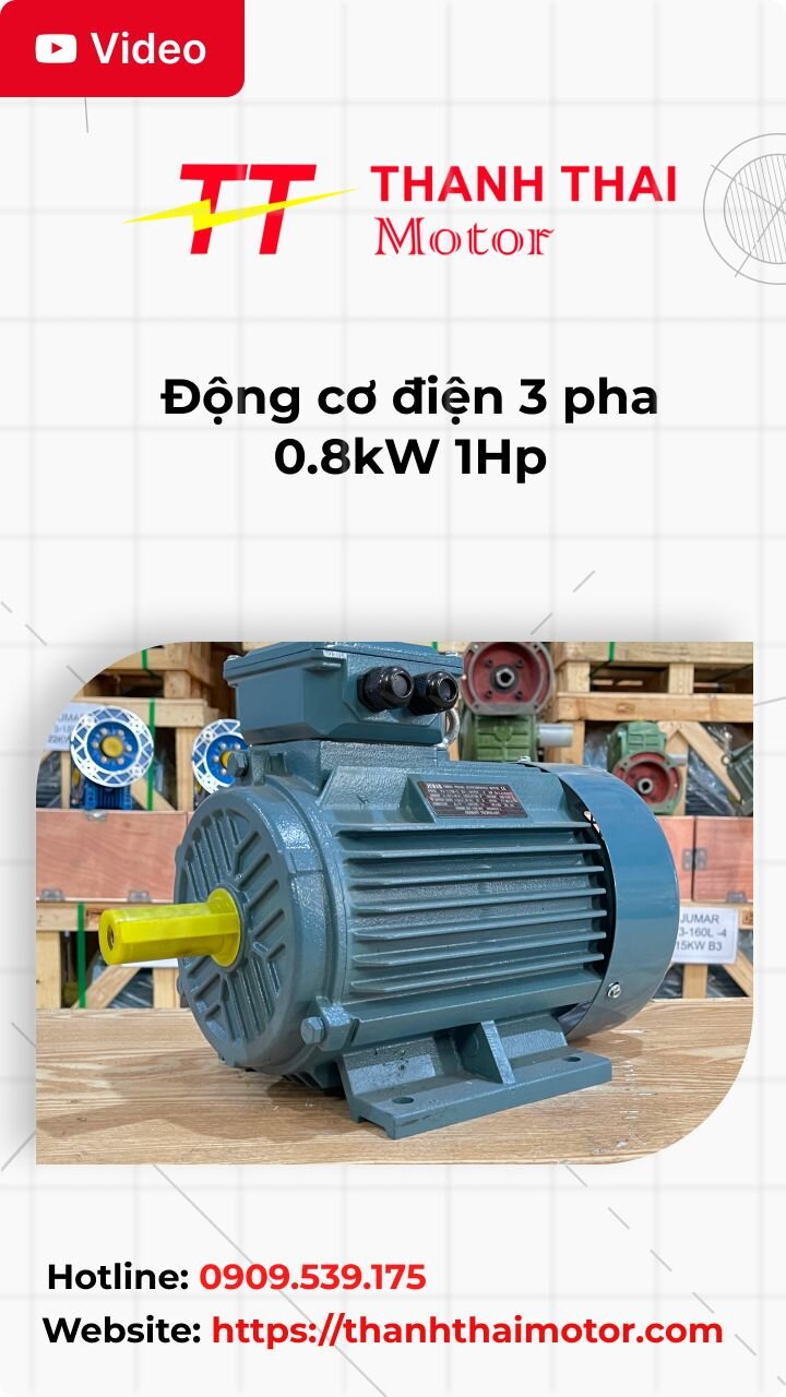 Động cơ điện 3 pha 0.8kW 1Hp