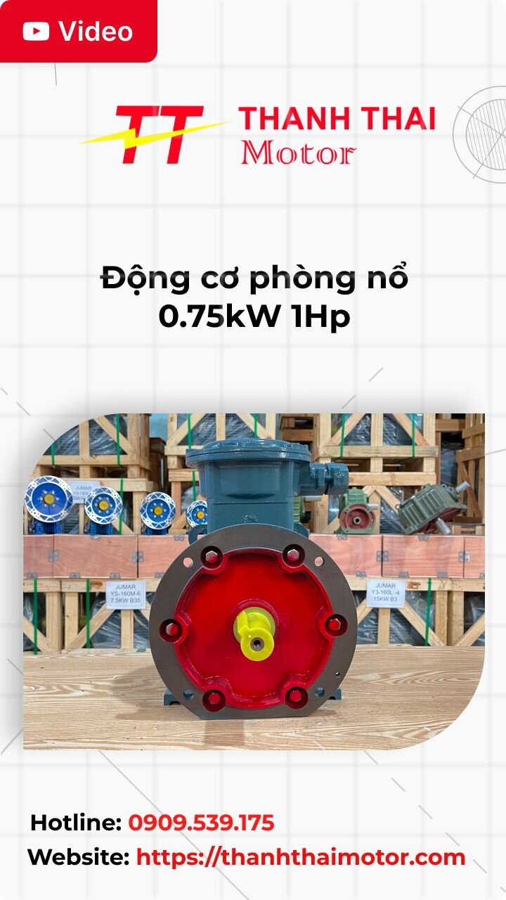 Thumb động cơ phòng nổ 0.75kW 1Hp