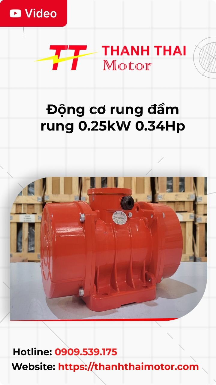 Thumb động cơ rung đầm rung 0.25kW 0.34Hp