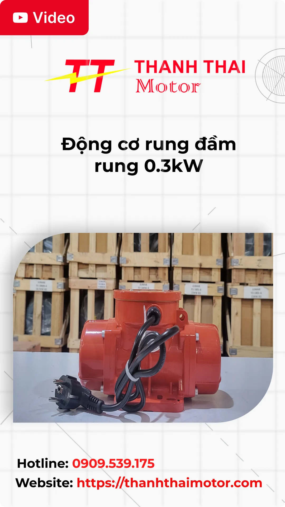 Động cơ rung đầm rung 0.3kW