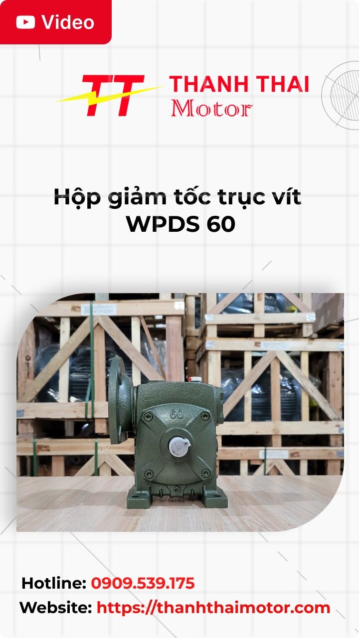 Thumb hộp giảm tốc trục vít WPDS 60