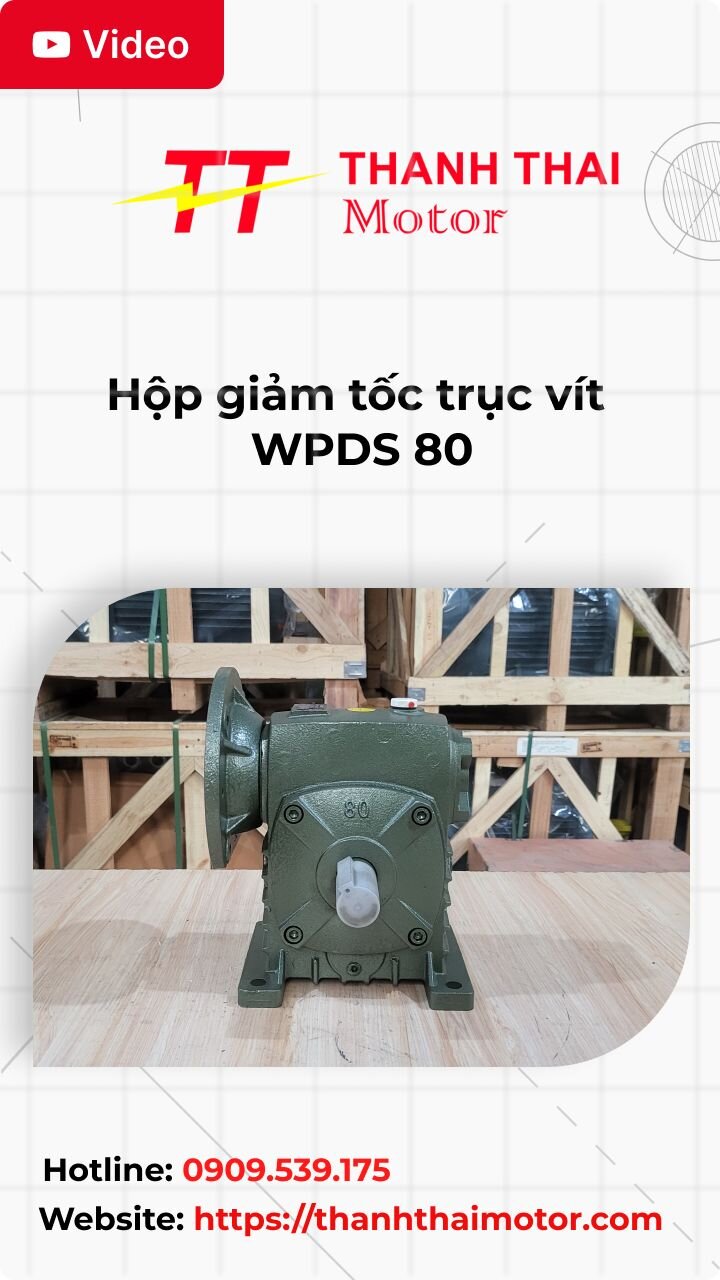 Thumb hộp giảm tốc trục vít WPDS 80