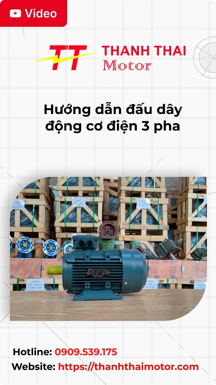 thumb hướng dẫn đấu dây động cơ điện 3 pha