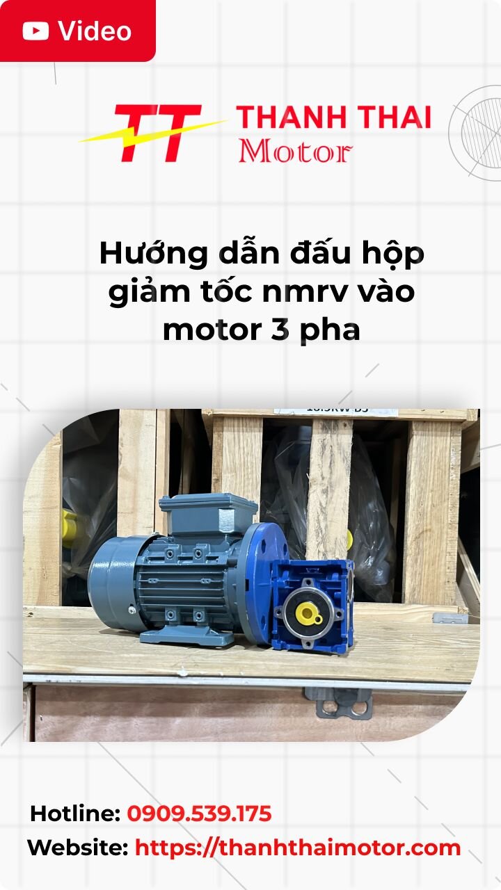 Hướng dẫn đấu hộp giảm tốc nmrv vào motor 3 pha