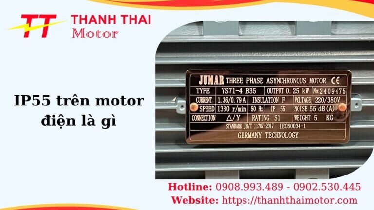 Hình thumb IP55 trên motor điện là gì