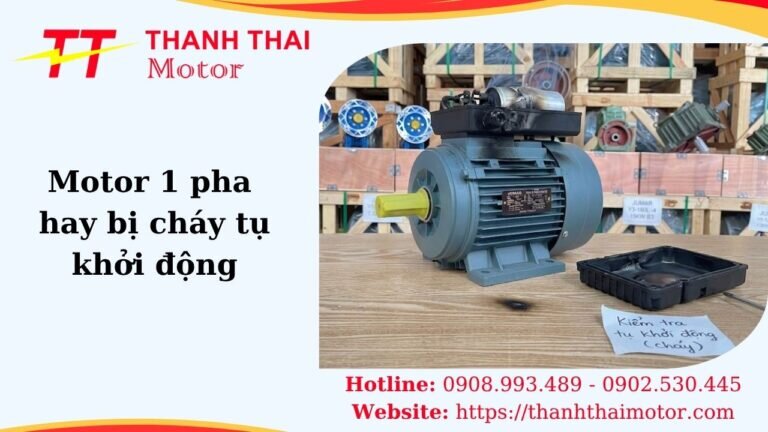 Hình thumb motor 1 pha hay bị cháy tụ khởi động