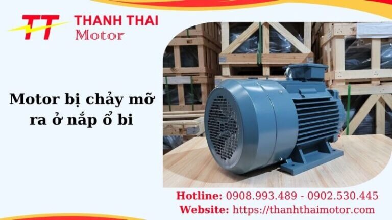 Thumb motor bị chảy mỡ ra ở nắp ổ bi