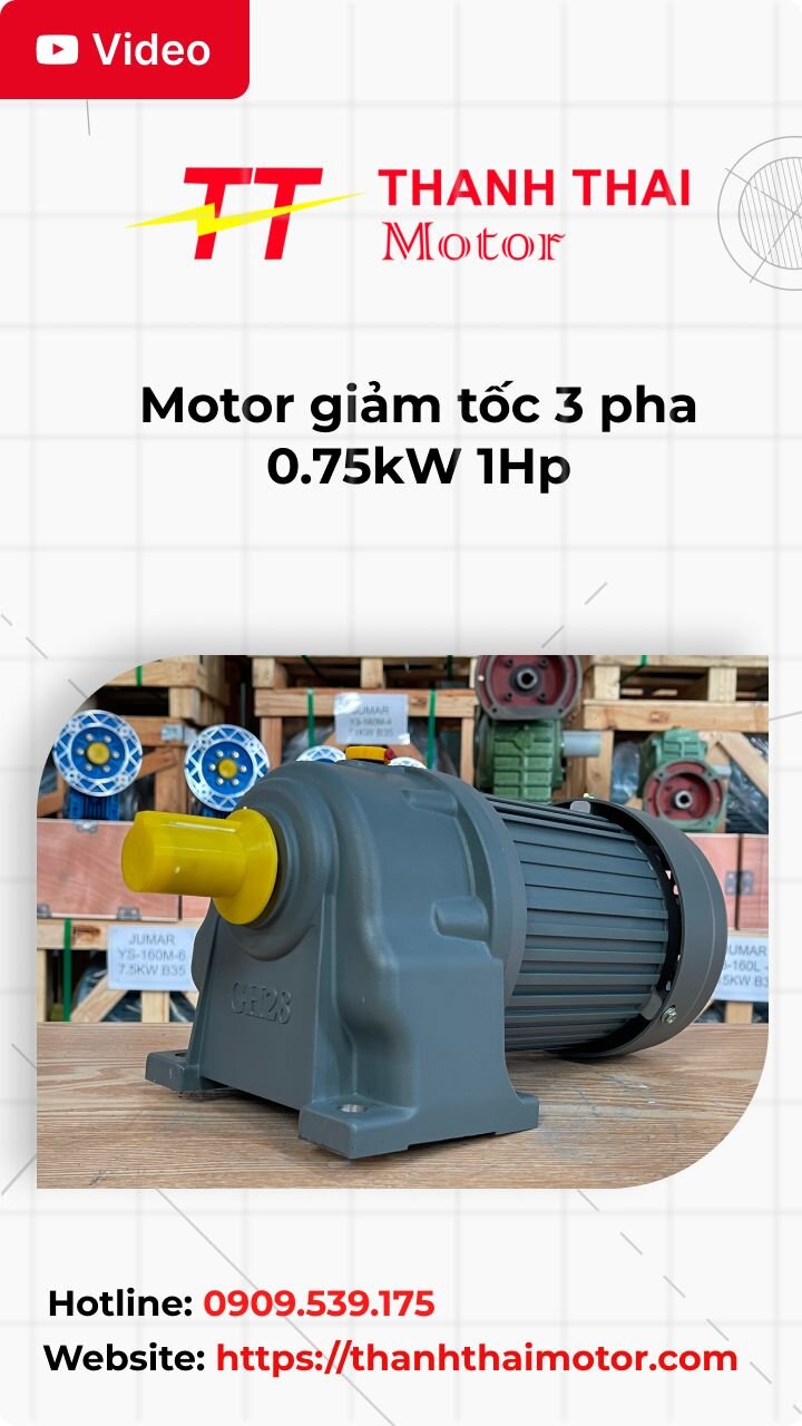 Motor giảm tốc 3 pha 0.75kW 1Hp