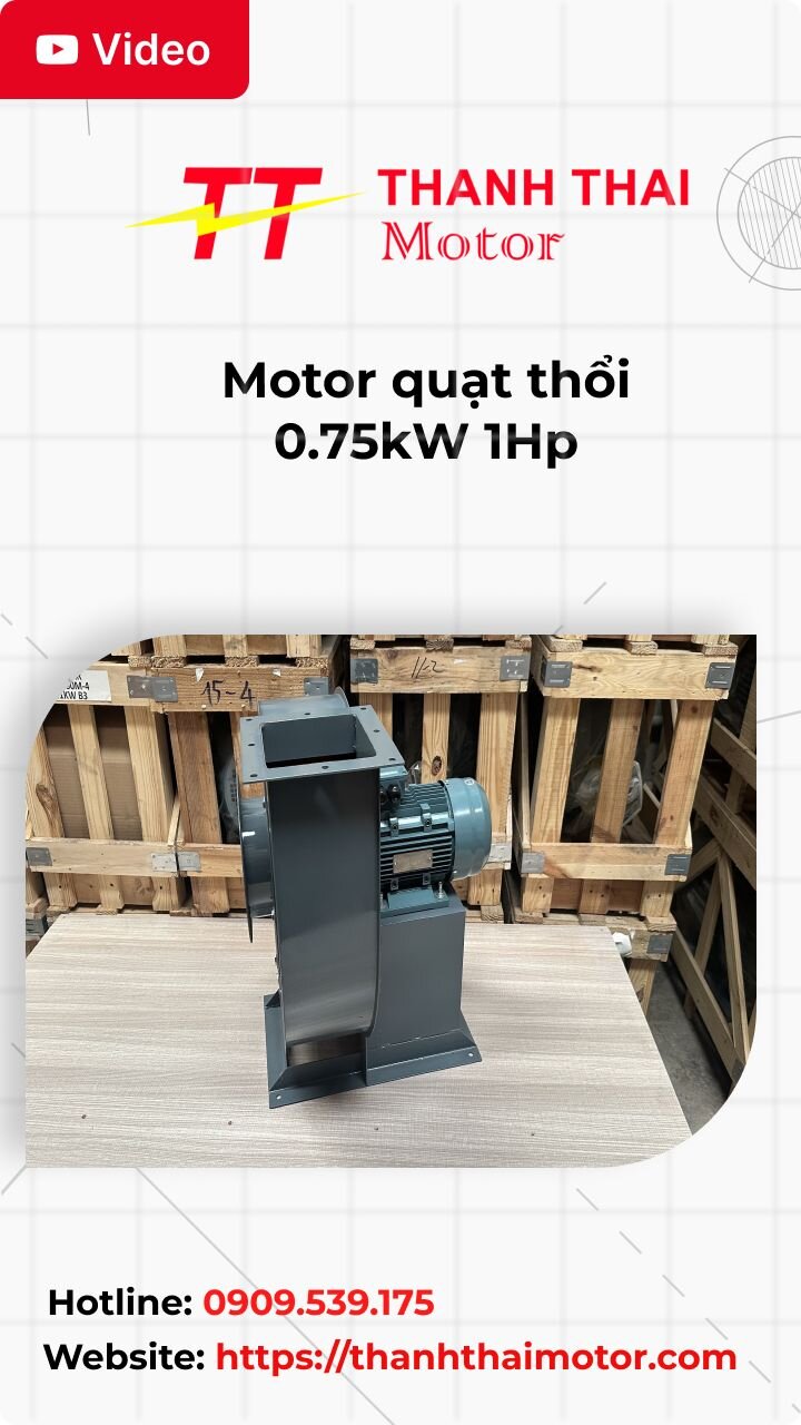 Thumb motor quạt thổi 0.75kW 1Hp