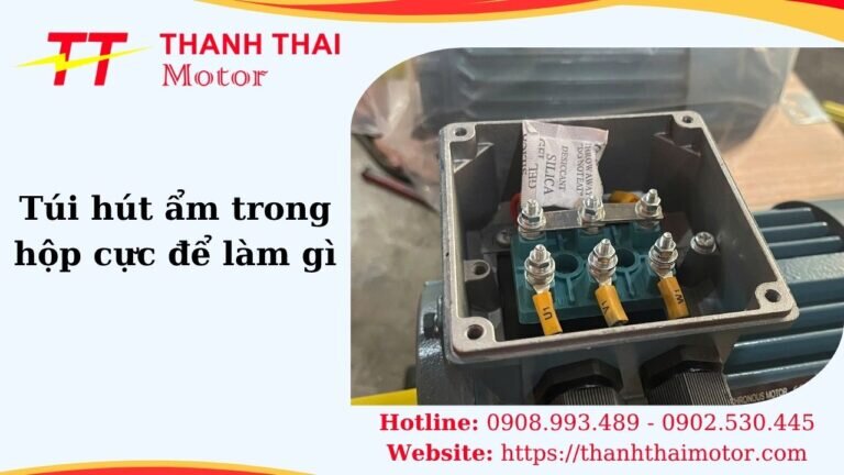 Hình thumb túi hút ẩm trong hộp cực để làm gì
