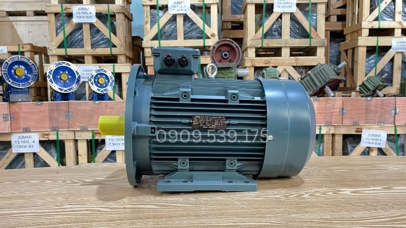 Toàn cảnh các dòng motor điện phổ biến trên thị trường hiện nay, đa dạng từ hàng nội địa đến nhập khẩu.