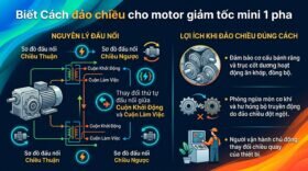 Biết Cách đảo chiều cho motor giảm tốc mini 1 pha