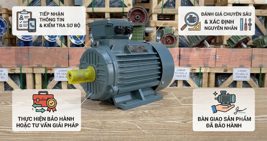 Các quy trình bảo hành động cơ điện tại Thành Thái Motor