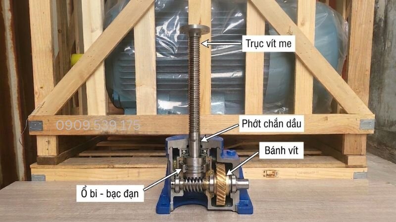 Internal structure of worm screw jack SWLD-SWL