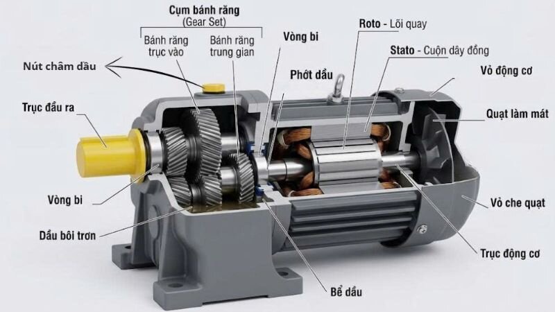 Construction of Gear Motors
