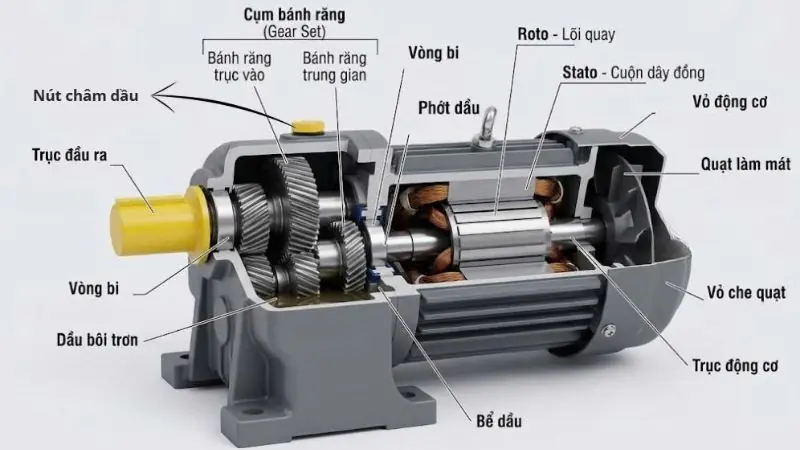Cấu tạo động cơ giảm tốc