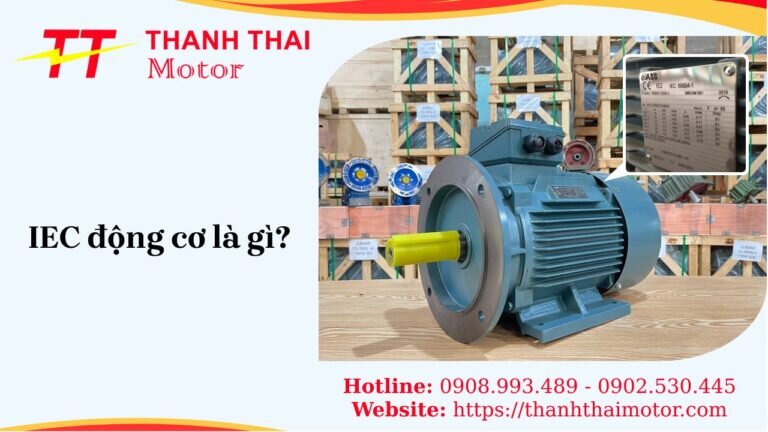 IEC động cơ là gì? Giải mã tiêu chuẩn motor điện quốc tế